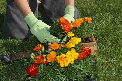 Gardener working in a Chiswick garden, front view of tools and greenery
