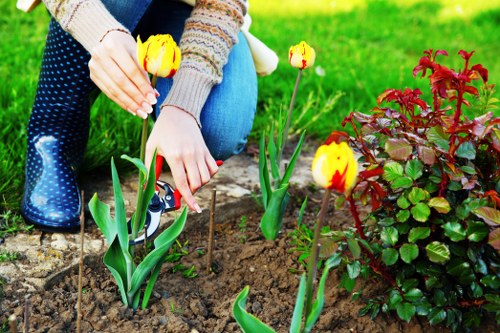 Auditor reviewing supplier compliance in landscaping operations