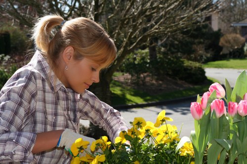 Team repairing garden feature as remedy